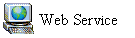 Web Service